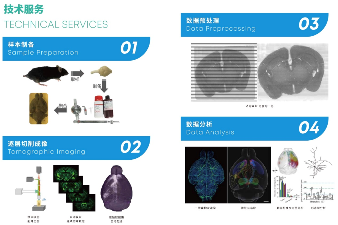 香港宝典免费资料网