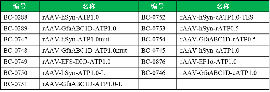 香港宝典免费资料网