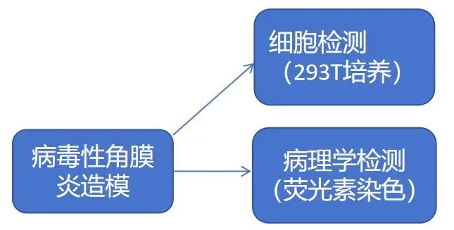 香港宝典免费资料网