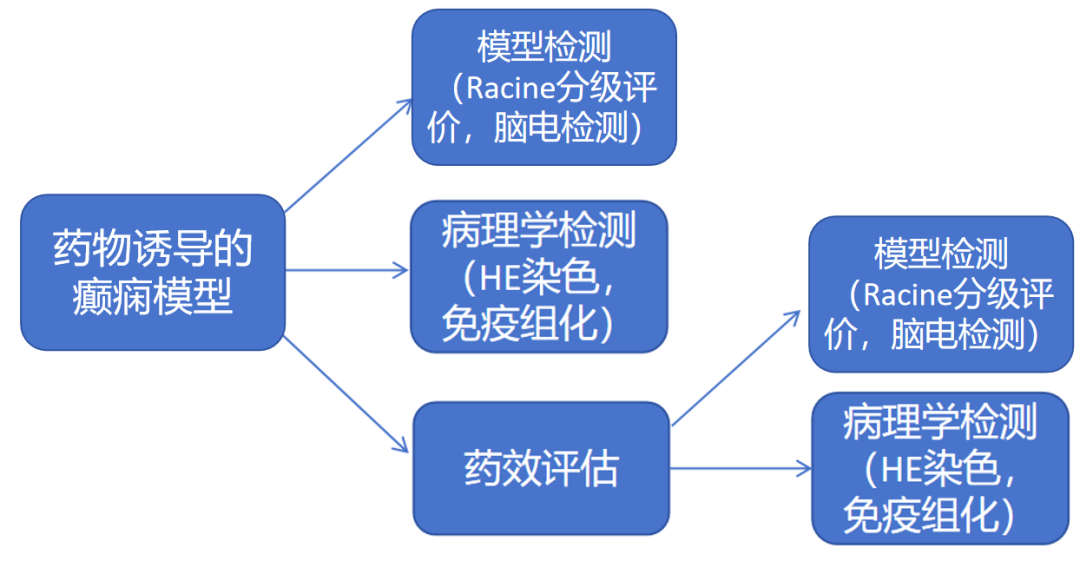 香港宝典免费资料网